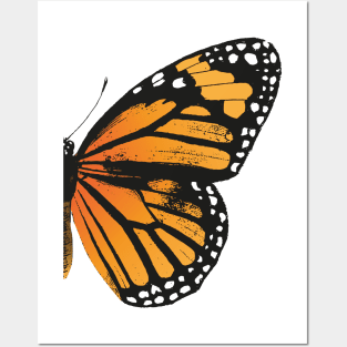 Monarch Butterfly | Right Wing | Vintage Butterflies | Butterfly Wings | Diptych | Posters and Art